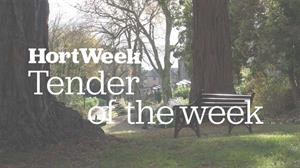 Tender of the week